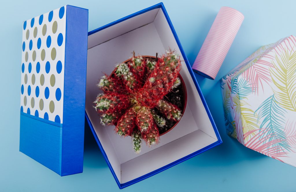 branded packaging USA